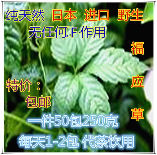 草本植物与心脏健康的关系（草本植物的好处）-第2张图片-多多自然网