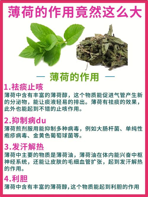 草本植物与心脏健康的关系（草本植物的好处）-第5张图片-多多自然网