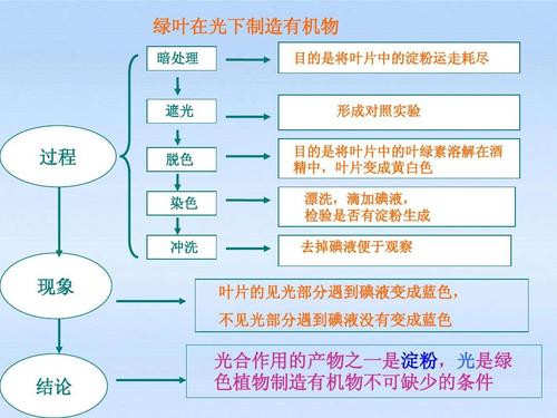 大气水土与植物的关系（大气,水,土地等环境）-第1张图片-多多自然网