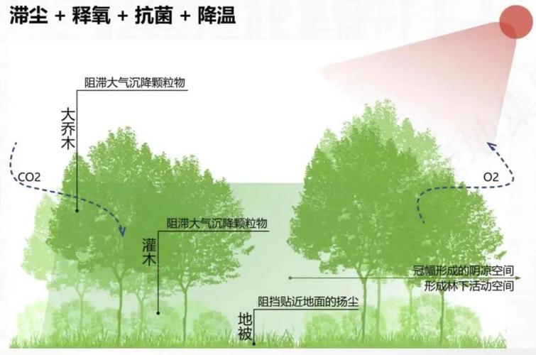 大气水土与植物的关系（大气,水,土地等环境）-第4张图片-多多自然网