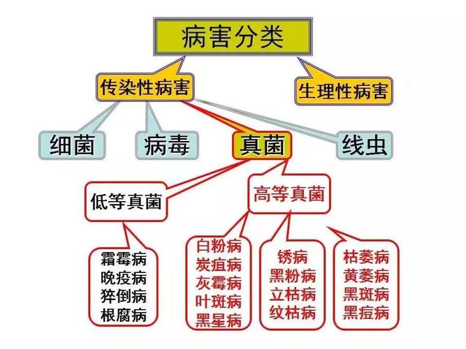 病原菌与寄生植物的关系（病原生物与寄主植物相互作用有哪些方式）-第1张图片-多多自然网