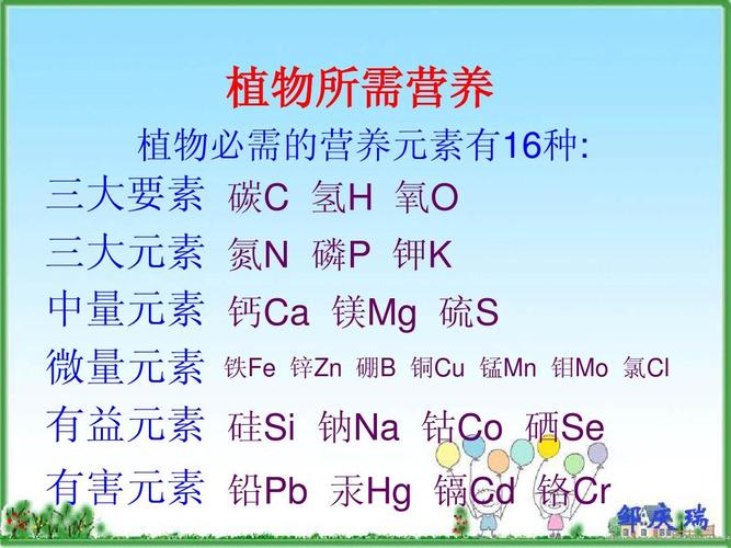 氮转化与植物激素的关系（氮及其化合物的转化过程如下图所示）-第2张图片-多多自然网