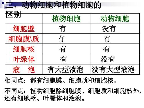 单细胞生物与动物植物的关系（单细胞植物与单细胞动物最主要的区别是）-第2张图片-多多自然网