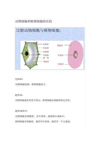 单细胞生物与动物植物的关系（单细胞植物与单细胞动物最主要的区别是）-第6张图片-多多自然网