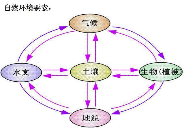 大气压与植物的关系（大气压与植物的关系）-第2张图片-多多自然网