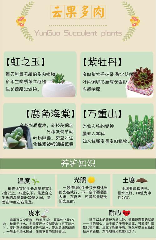 多肉植物品种及养护知识（多肉品种养护知识讲解）-第7张图片-多多自然网