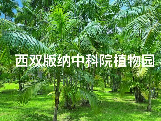 蚕丝纺织品与植物精油的关系（蚕丝精油的使用方法）-第1张图片-多多自然网