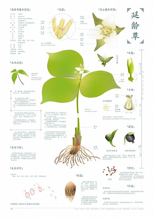 濒危植物与保护植物的关系（濒危植物定义）-第4张图片-多多自然网