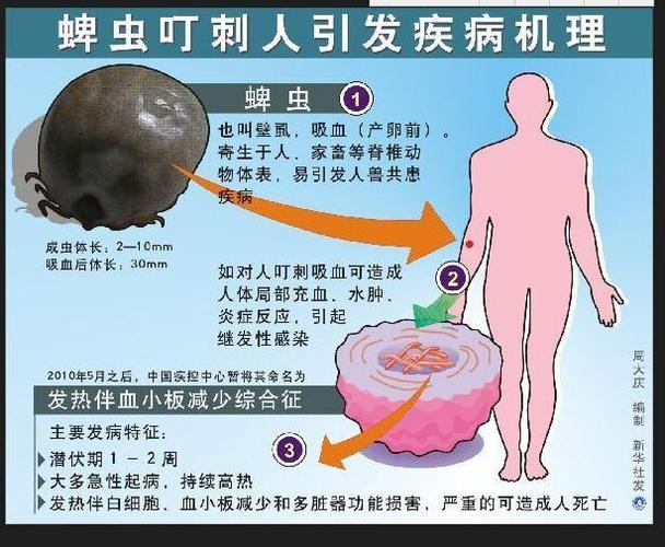 鼻涕虫与植物的关系是什么（鼻涕虫对农作物的危害）-第5张图片-多多自然网