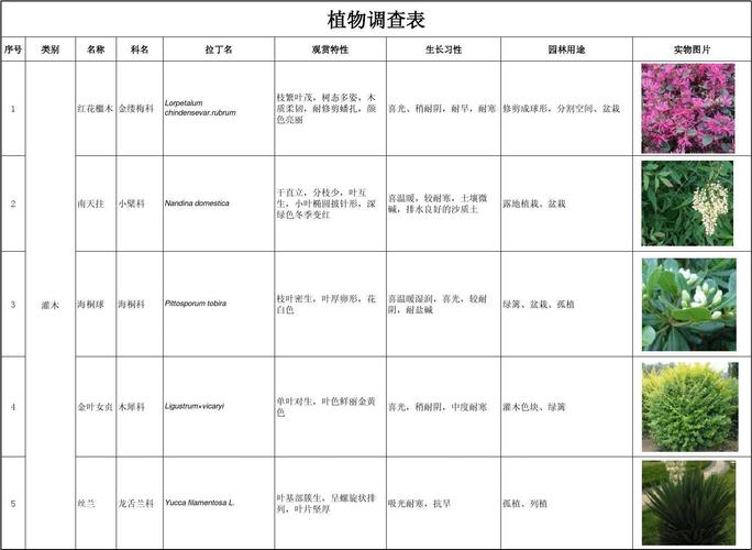 不同植物的相关知识的简单介绍-第3张图片-多多自然网