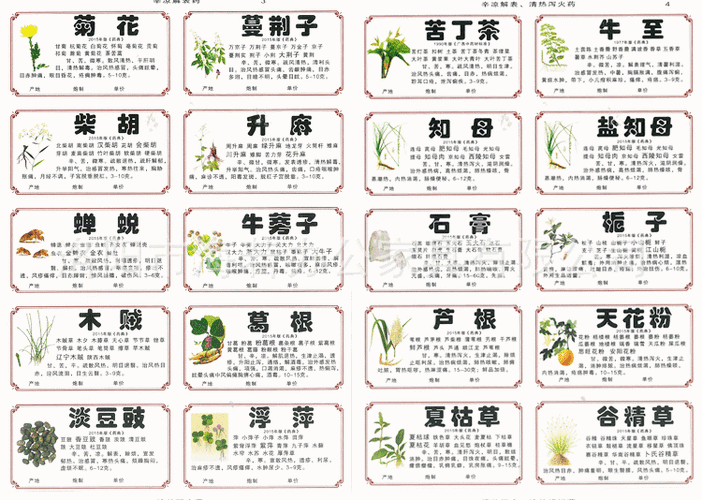 草药植物知识百科大全起名（百种草药的名称）-第2张图片-多多自然网