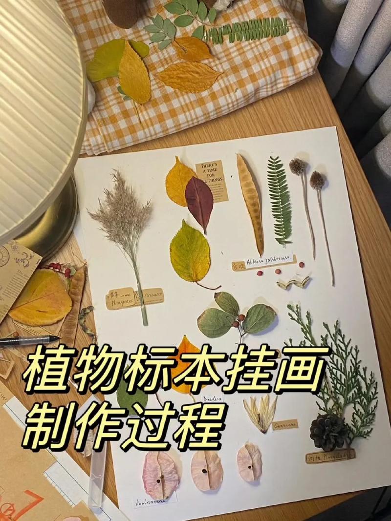 关于不同植物标本采集和制作知识的信息-第5张图片-多多自然网