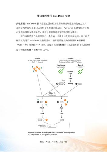 蛋白与植物互作营养的关系（植物蛋白质与动物蛋白质）-第2张图片-多多自然网