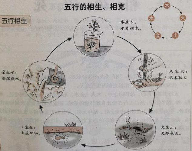 八卦与植物栽种的关系是什么（八卦与自然对照表）-第3张图片-多多自然网