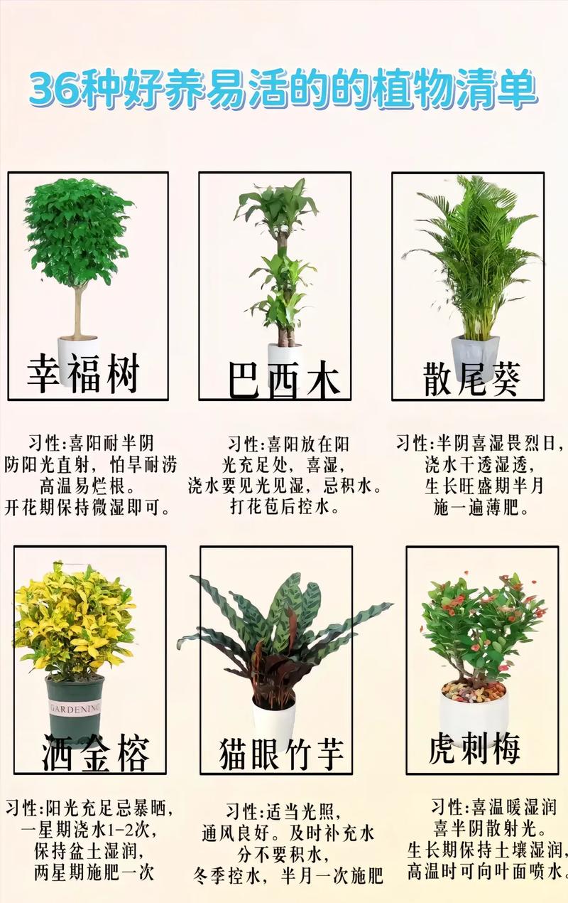 家养植物的养护知识（家养植物的养护知识有哪些）-第1张图片-多多自然网