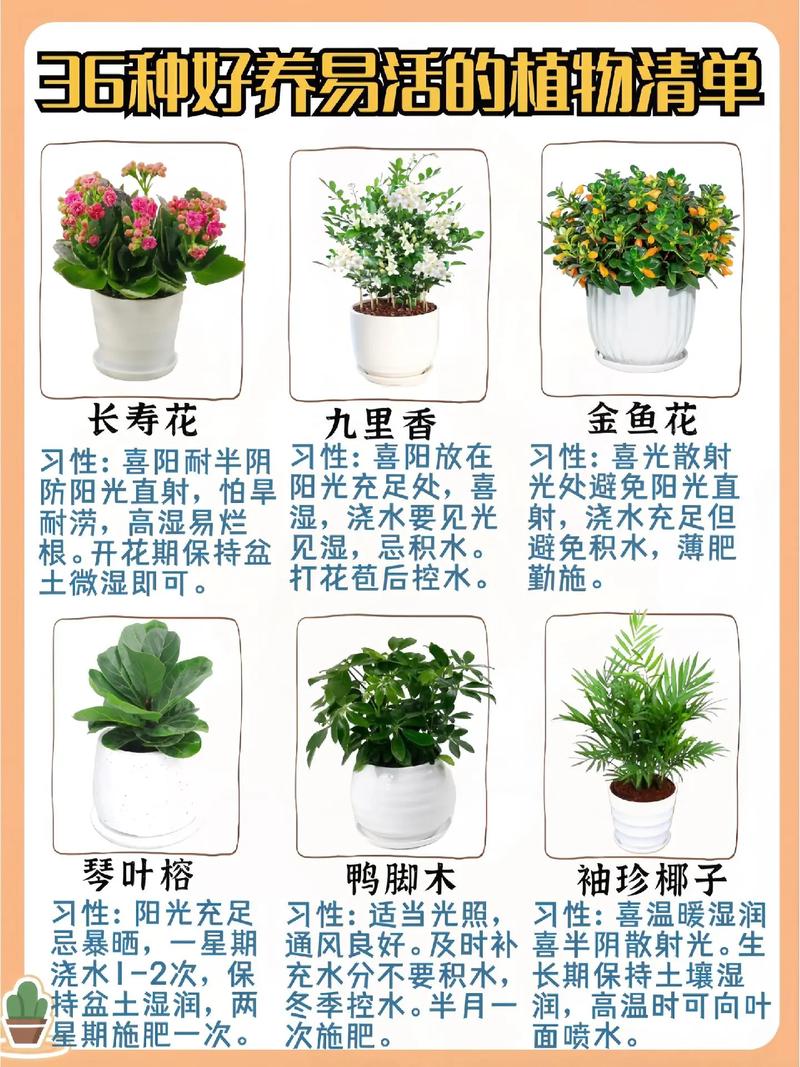 家养植物的养护知识（家养植物的养护知识有哪些）-第8张图片-多多自然网