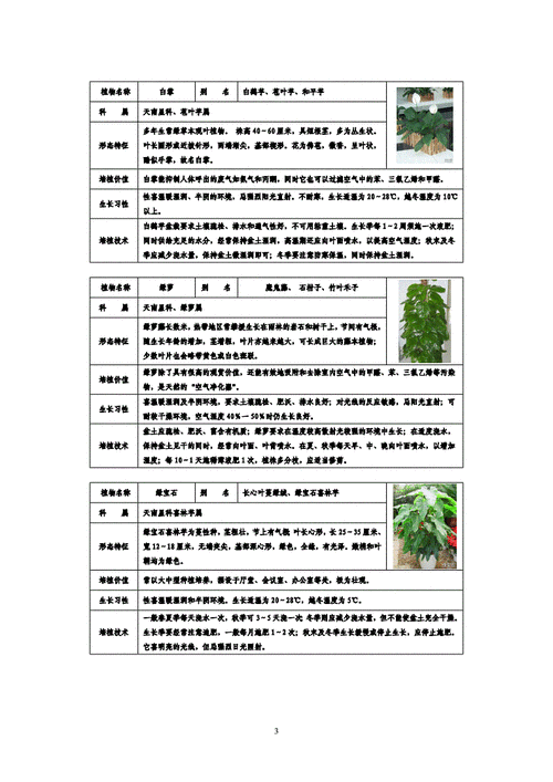 花卉植物养护知识（花卉养护内容）-第1张图片-多多自然网