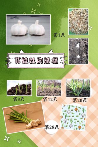 地栽植物春天养护知识（地栽植物春天养护知识内容）-第3张图片-多多自然网