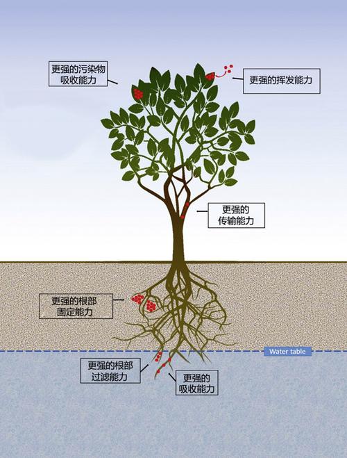 大气环境与植物的关系是什么（大气和环境的关系）-第4张图片-多多自然网