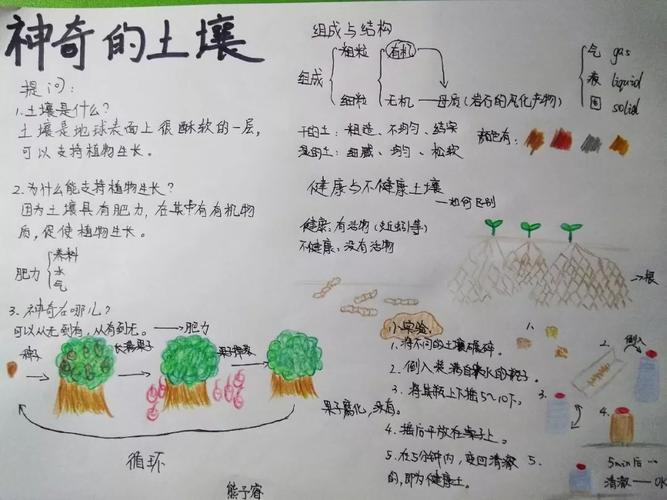 本土植物与本地环境的关系（什么是本土植物）-第1张图片-多多自然网