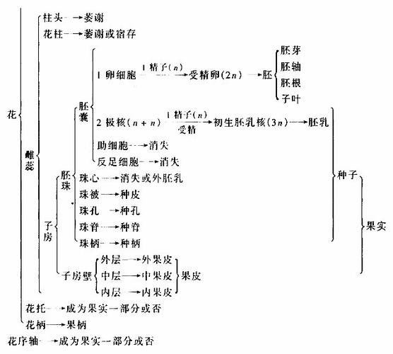 变态植物与果实的关系有哪些（植物变态的意义）-第5张图片-多多自然网