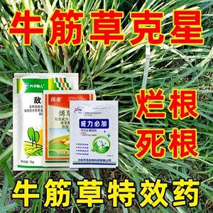 草本植物与虫害的关系（药用植物病虫草害发生的特点）-第2张图片-多多自然网