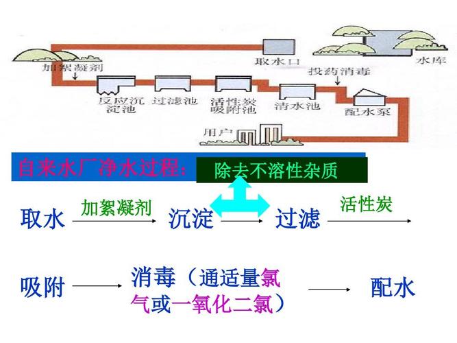 氮磷与沉水植物的相互关系（沉水植物吸收氮磷）-第2张图片-多多自然网