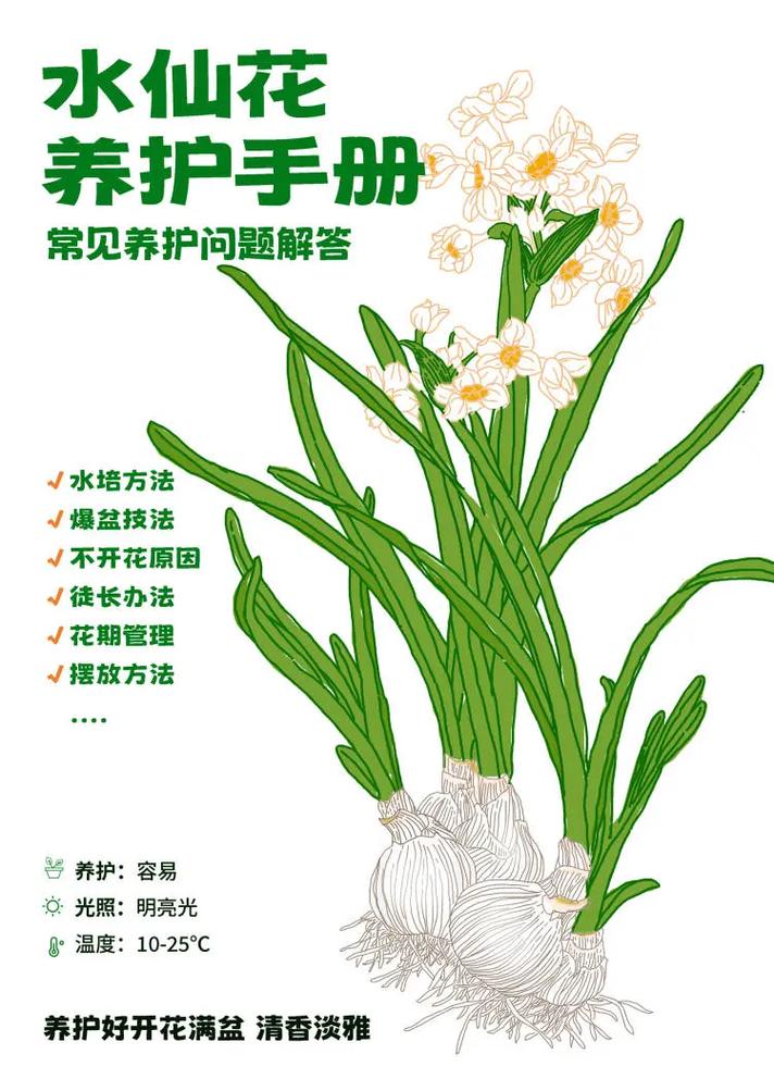 草本植物价值科普知识有哪些（草本植物解释）-第1张图片-多多自然网