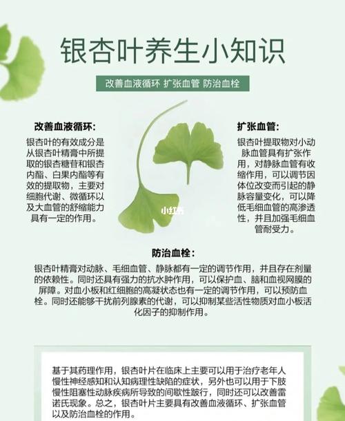 斑叶植物与类黄酮的关系（斑叶植物与类黄酮的关系图）-第1张图片-多多自然网