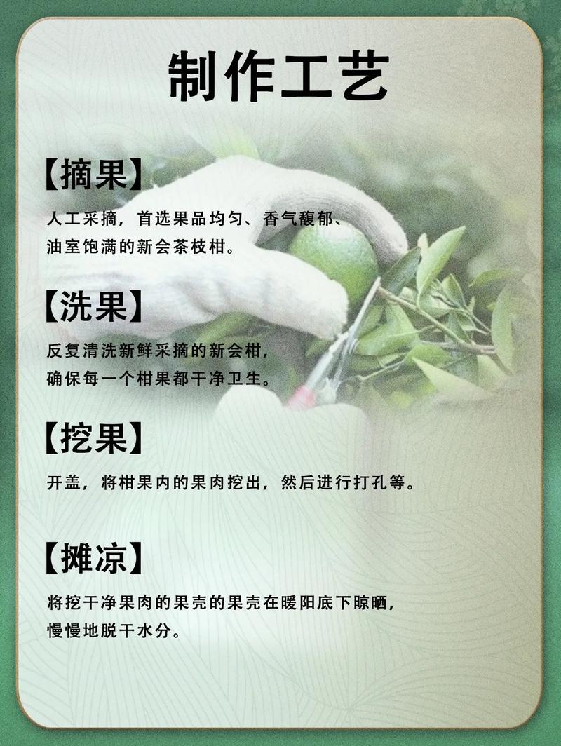 茶植物形态科普知识内容（茶植物形态科普知识内容摘要）-第1张图片-多多自然网