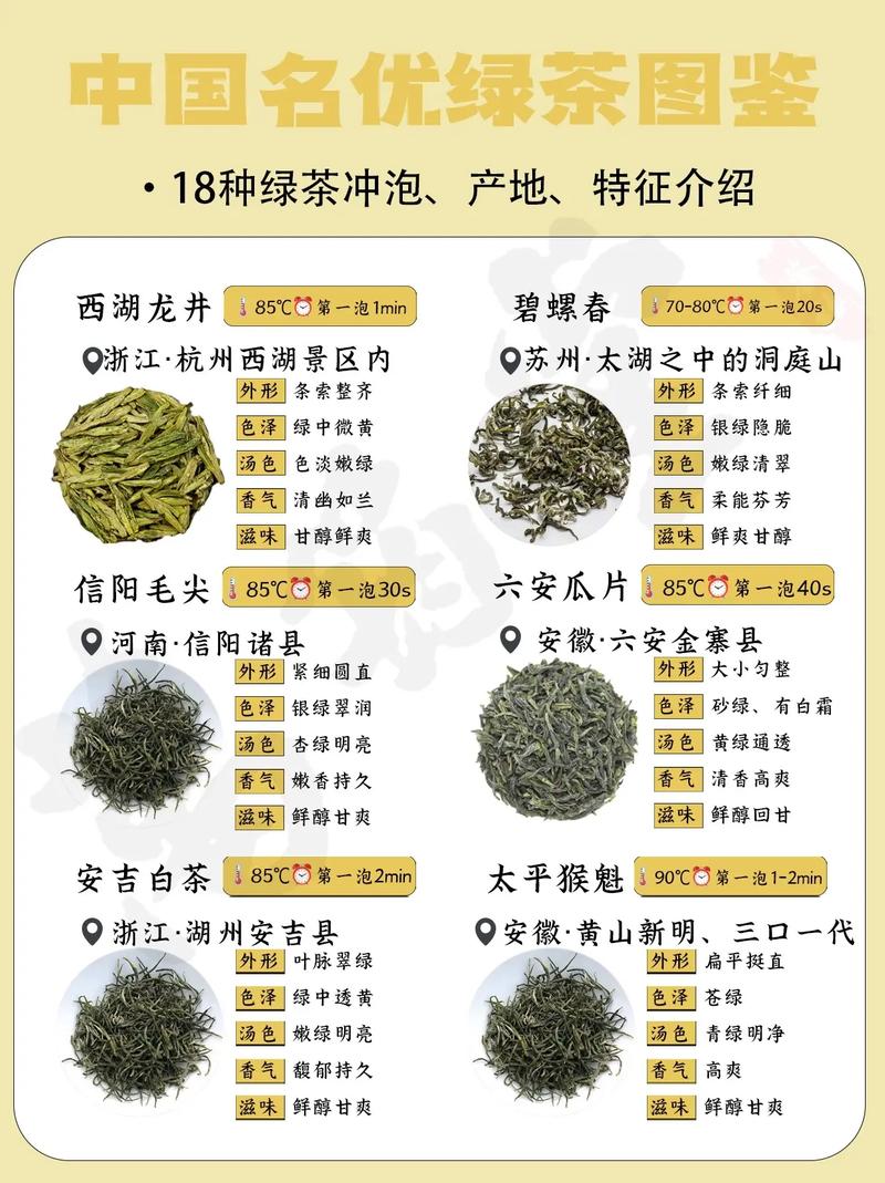 茶植物形态科普知识内容（茶植物形态科普知识内容摘要）-第4张图片-多多自然网