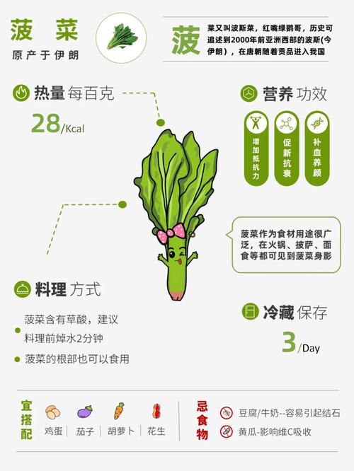 菠菜植物科普知识有哪些（菠菜植物名片）-第2张图片-多多自然网