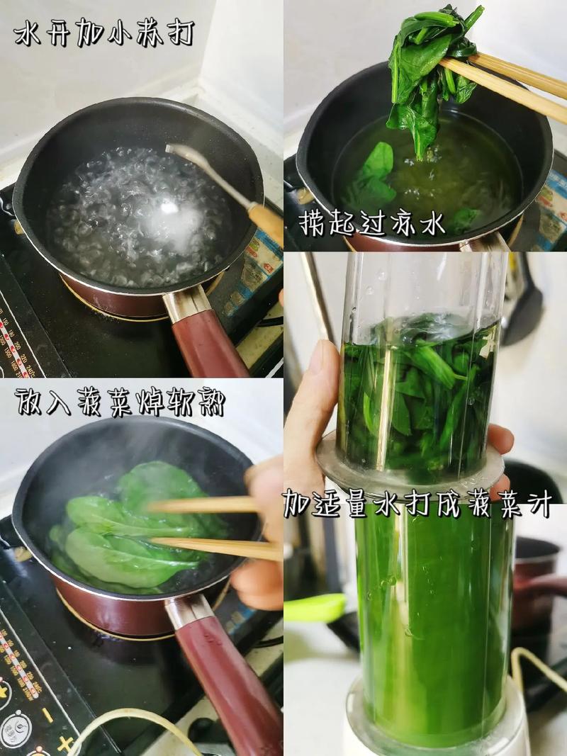 菠菜植物科普知识有哪些（菠菜植物名片）-第3张图片-多多自然网