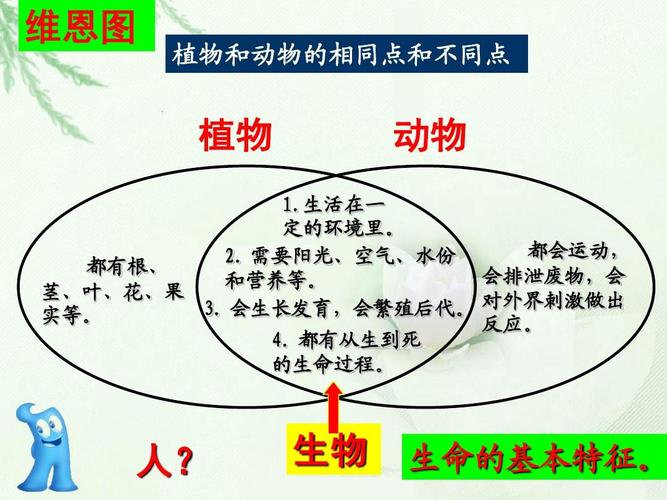 大型植物与动物的关系有哪些（动物和大多植物属于什么生物）-第3张图片-多多自然网