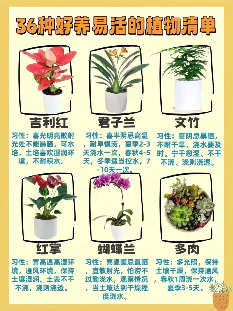 草本植物养护知识大全（草本植物门）-第2张图片-多多自然网