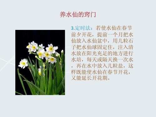 草本植物养护知识大全（草本植物门）-第3张图片-多多自然网