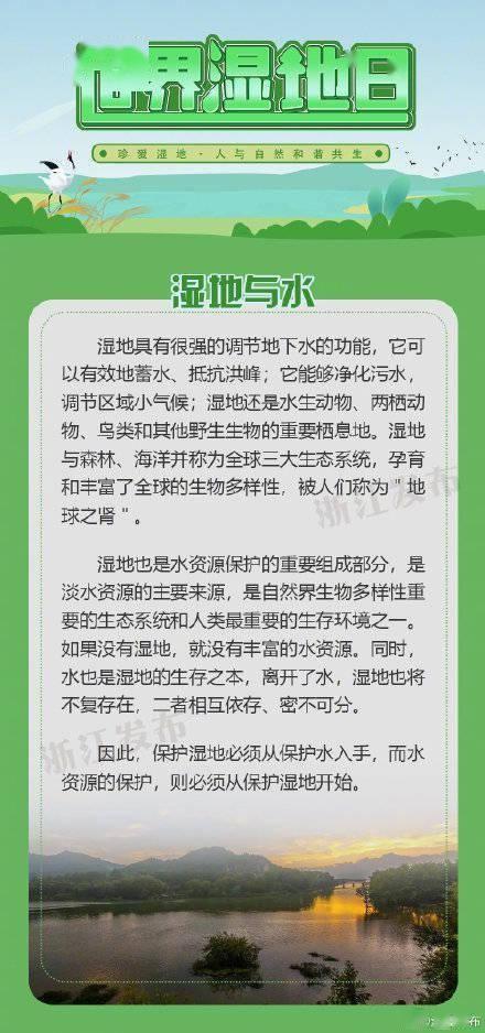 保护湿地植物科普知识（保护湿地的措施有哪些高中地理）-第3张图片-多多自然网