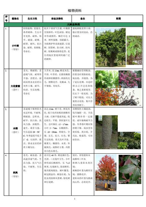 常见景观植物科普知识（常见景观植物基本介绍）-第5张图片-多多自然网