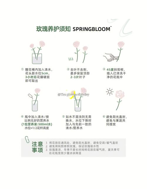 东北鲜花绿植怎么养护（东北养的花）-第6张图片-多多自然网