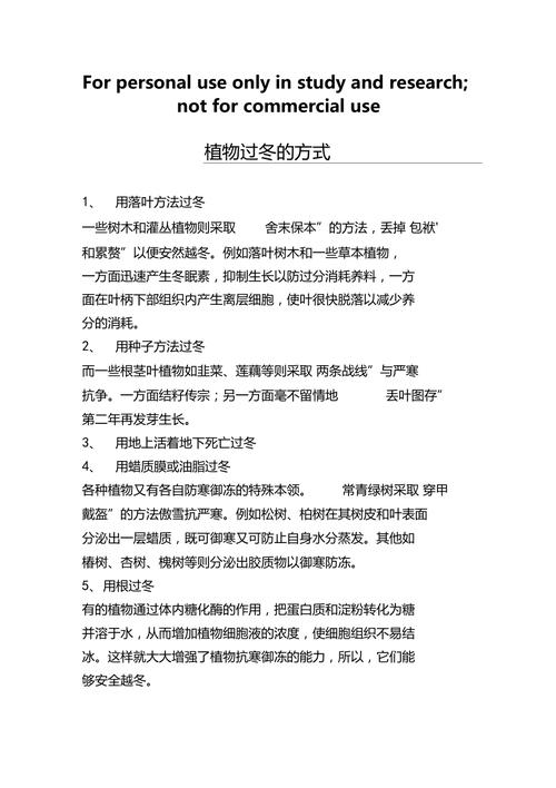 冬季北方卧室绿植养护方法（北方冬季卧室适合养什么花）-第3张图片-多多自然网