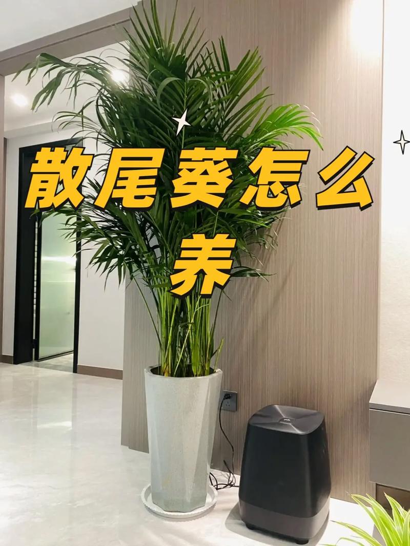 春季观花观叶植物养护知识（春季观叶树种）-第4张图片-多多自然网