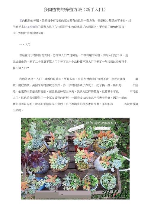 多肉植物养护的知识（多肉养护小知识）-第2张图片-多多自然网