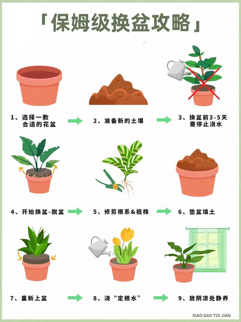 花草植物养护知识（花草植物养护知识点总结）-第5张图片-多多自然网