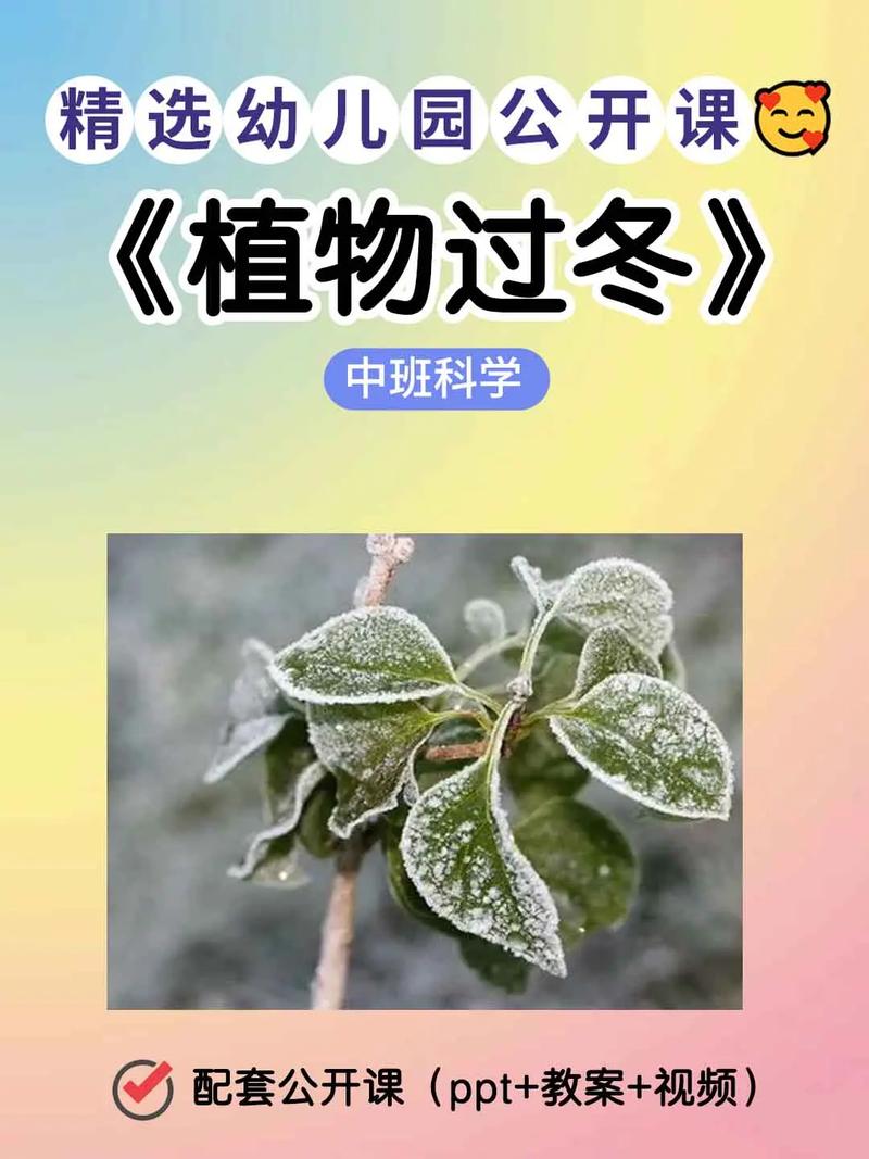 冬天绿色植物养护知识简短（冬天绿色植物养护知识简短版）-第4张图片-多多自然网