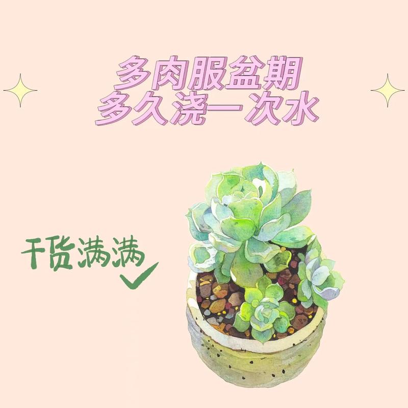 多肉植物品种养护百科知识（多肉植物的种植和养护）-第3张图片-多多自然网