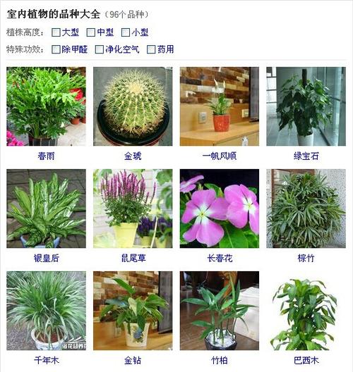 常见家养植物及其养护知识（常见家养植物及其养护知识点总结）-第5张图片-多多自然网