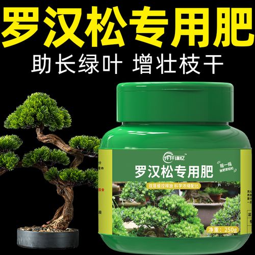 地栽植物养护知识（地栽花卉有哪些）-第3张图片-多多自然网