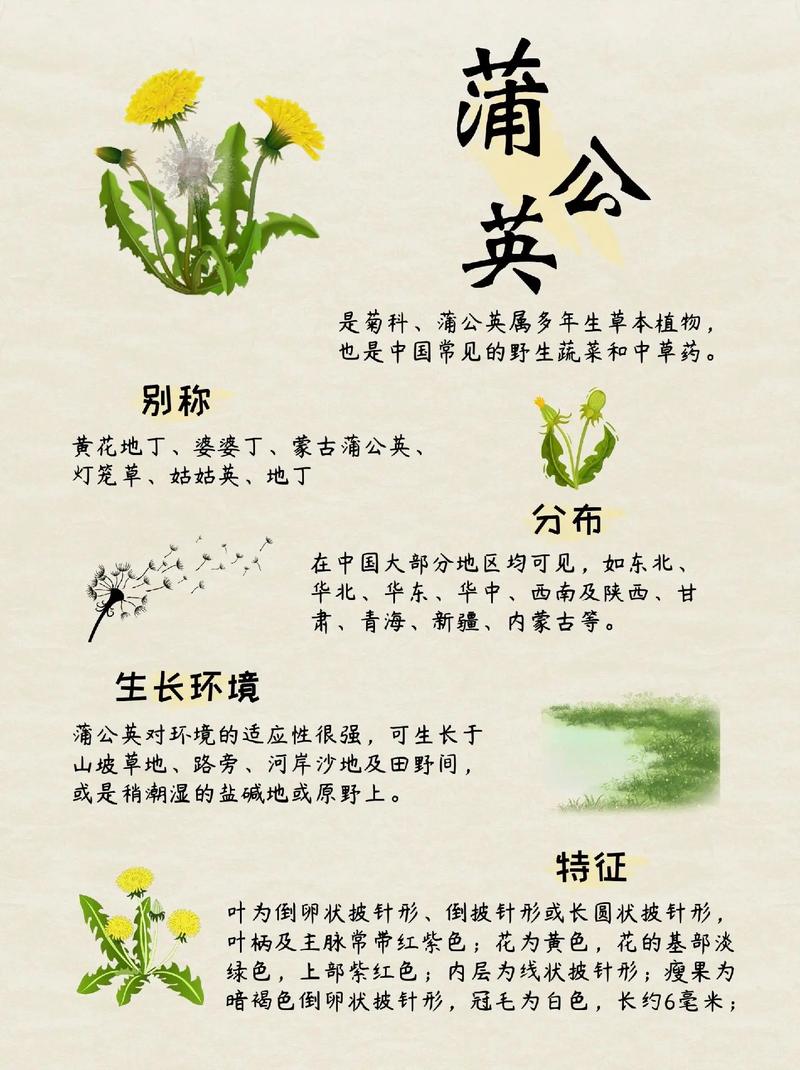 草科植物科普知识内容大全（草的科普知识）-第2张图片-多多自然网