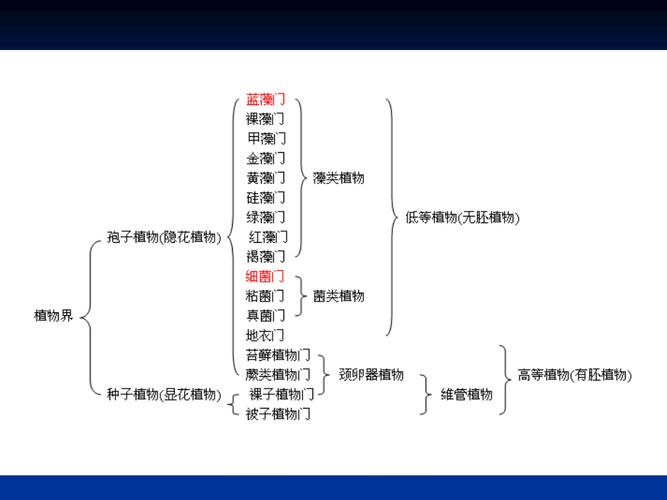 孢子植物有关知识（孢子植物有关知识点）-第3张图片-多多自然网