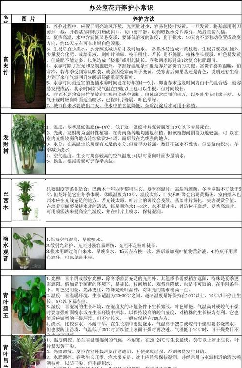 红瓢虫植物养护小知识（红瓢虫植物养护小知识大全）-第1张图片-多多自然网